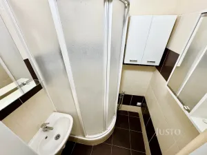 Pronájem bytu 2+1, Ústí nad Labem, Kozinova, 55 m2