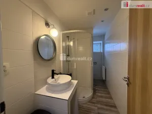 Pronájem bytu 1+kk, Telnice, 33 m2