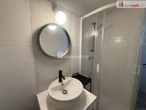 Pronájem bytu 1+kk, Telnice, 33 m2