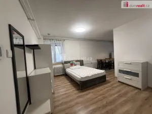 Pronájem bytu 1+kk, Tisá, Antonínov, 33 m2