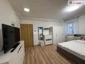 Pronájem bytu 1+kk, Tisá, 33 m2