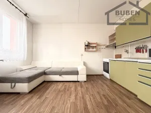 Prodej bytu 1+1, Bor, Borská, 40 m2