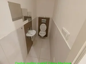 Pronájem bytu 2+kk, Praha - Vinohrady, Lublaňská, 56 m2