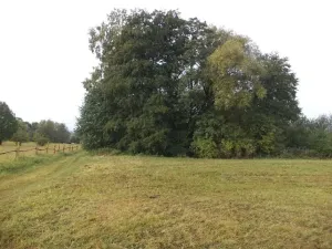 Dražba louky, Horní Pěna, 1083 m2