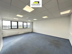 Pronájem výrobních prostor, Zápy, Královická, 2622 m2
