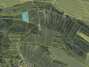 Prodej lesa, Tehov, 4064 m2