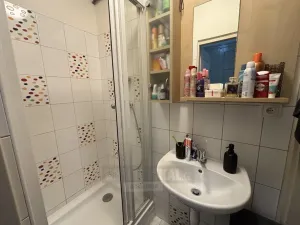 Pronájem bytu 1+1, České Budějovice - České Budějovice 6, Mánesova, 44 m2