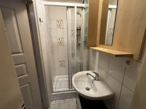 Pronájem bytu 1+1, České Budějovice - České Budějovice 6, Mánesova, 44 m2