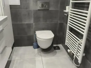 Pronájem bytu 3+kk, Hradec Králové - Pražské Předměstí, Vocelova, 93 m2