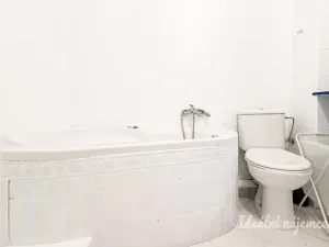 Pronájem bytu 2+1, Praha - Žižkov, Hartigova, 53 m2