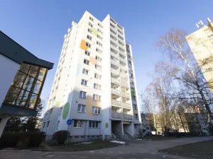 Pronájem bytu 1+kk, Orlová - Lutyně, Osvobození, 31 m2