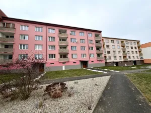 Prodej bytu 1+1, Cheb, Lesní, 36 m2