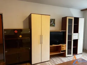 Pronájem bytu 1+1, Chomutov, Dřínovská, 42 m2