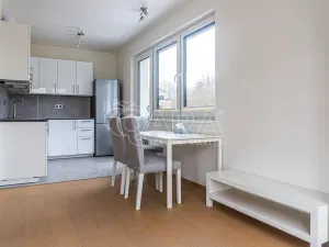 Pronájem bytu 2+kk, Praha - Žižkov, Rixdorfská, 51 m2