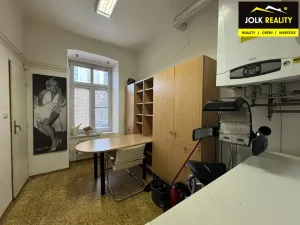 Pronájem komerční nemovitosti, Opava, Krnovská, 54 m2