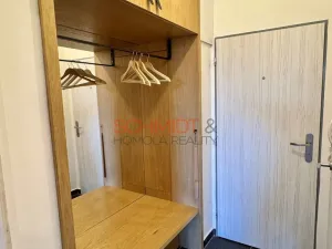 Pronájem bytu 1+kk, Mikulov, Purkyňova, 44 m2