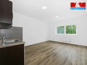 Pronájem bytu 2+kk, Radnice, Na Potocích, 49 m2