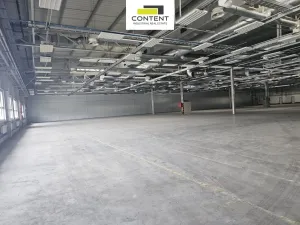 Pronájem skladu, Plzeň - Skvrňany, U Nové Hospody, 3820 m2