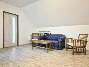 Prodej rodinného domu, Leskovec nad Moravicí, 200 m2