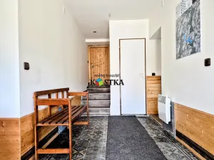 Prodej ubytování, Leskovec nad Moravicí, 200 m2