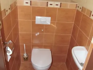 Pronájem bytu 4+1, Horní Cerekev - Hříběcí, 155 m2