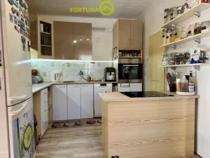 Prodej rodinného domu, Budišov nad Budišovkou, Horská, 273 m2