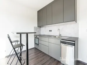 Pronájem bytu 1+kk, Přezletice, Pod Zahrady, 36 m2