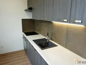 Pronájem bytu 3+1, Olomouc - Nové Sady, Skupova, 68 m2