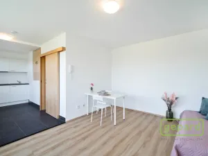 Pronájem bytu 1+kk, Praha, Hartigova, 28 m2