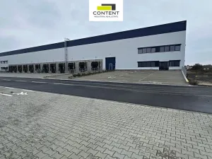 Pronájem výrobních prostor, Hladké Životice, Kujavská, 29000 m2