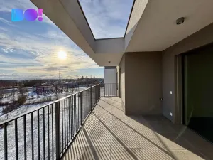 Pronájem bytu 3+kk, Ostrava, F. X. Riepla, 101 m2