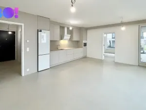 Pronájem bytu 2+kk, Ostrava, F. X. Riepla, 65 m2