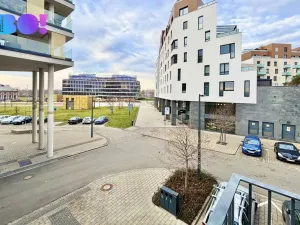 Pronájem bytu 2+kk, Ostrava, F. X. Riepla, 65 m2