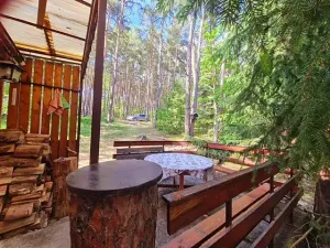 Prodej chaty, Erpužice, 60 m2