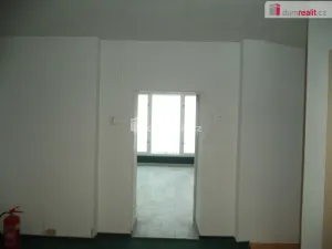 Pronájem obchodního prostoru, Ostrava - Vítkovice, Ruská, 48 m2