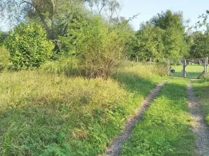 Prodej pozemku pro bydlení, Praha - Újezd nad Lesy, 4702 m2