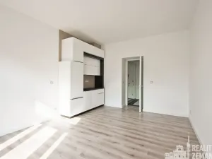 Pronájem bytu 1+kk, Praha - Žižkov, Bořivojova, 31 m2