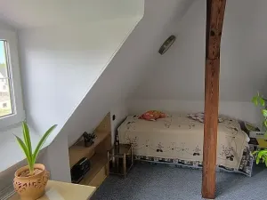 Prodej vícegeneračního domu, Aš, Květnová, 330 m2