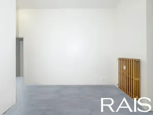 Prodej bytu 2+1, Brno, Masarykova, 45 m2