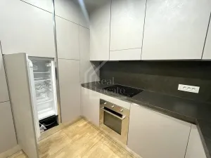 Pronájem bytu 2+kk, Praha - Karlín, Sokolovská, 97 m2