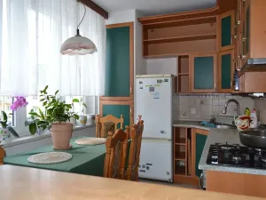 Prodej bytu 2+1, Ostrov, Lidická, 59 m2