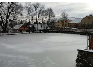 Prodej rodinného domu, Horní Radslavice, 883 m2