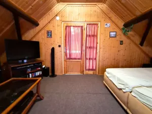 Prodej chalupy, Vysoké Veselí, 290 m2