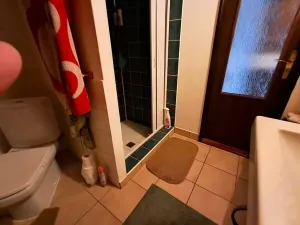 Prodej rodinného domu, Vysoké Veselí, 290 m2