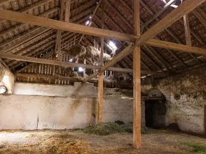 Prodej komerční, Potštejn - Brná, 23296 m2