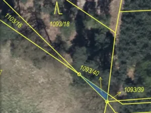 Prodej lesa, Veliny, 882 m2