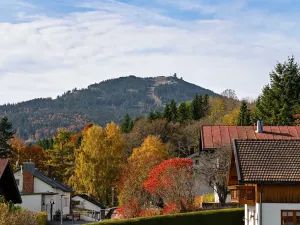 Prodej bytu 1+1, Železná Ruda, 37 m2