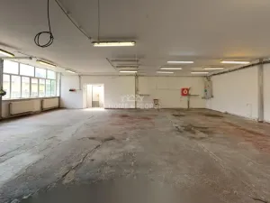 Pronájem výrobních prostor, Židlochovice, Žerotínovo nábřeží, 985 m2