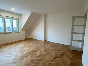 Prodej bytu 5+kk, Praha - Střešovice, Pod bateriemi, 193 m2