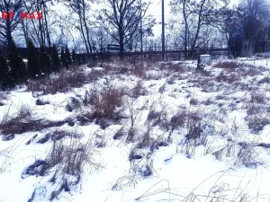 Prodej zahrady, Pardubice, 328 m2